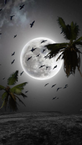 Moon Night Sky Background by Hamza VFX