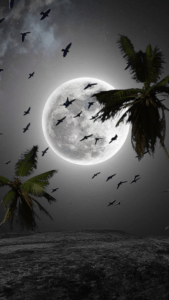 New Trending Sky Video Background फ्री🔥? Moon Png Download ! Sky Moon  Effect Video Background 