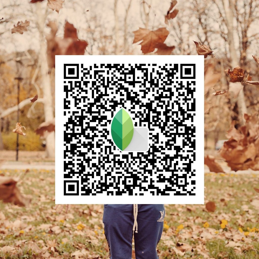 Snapseed QR code Photo editing